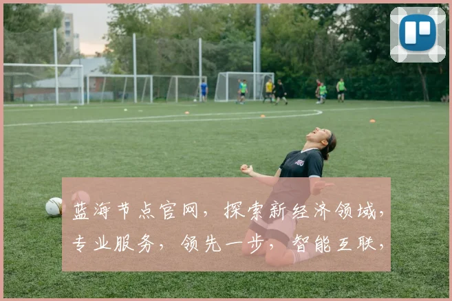 蓝海节点官网，探索新经济领域，专业服务，领先一步，智能互联，共赢未来，三大优势，必看首选