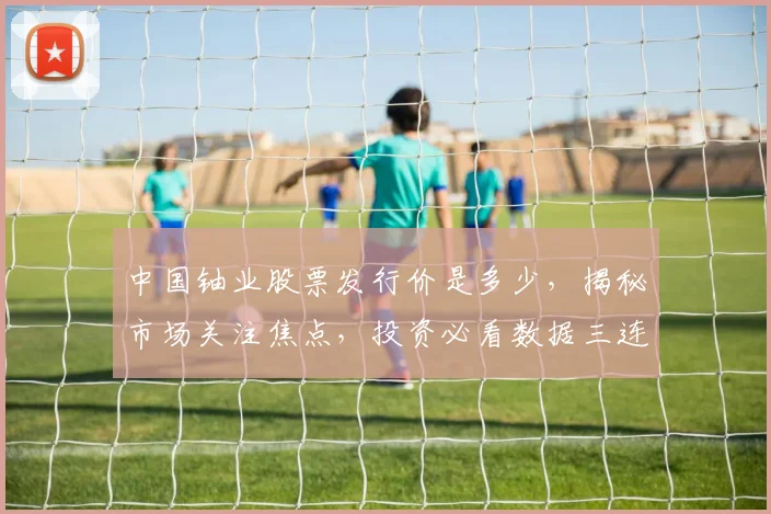 中国铀业股票发行价是多少，揭秘市场关注焦点，投资必看数据三连发