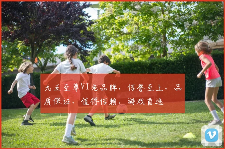 九五至尊VI老品牌，信誉至上，品质保证，值得信赖，游戏首选