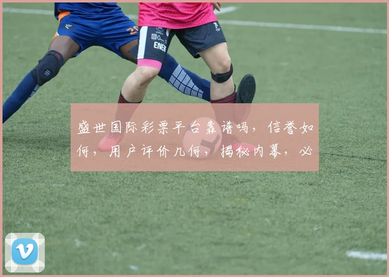 盛世国际彩票平台靠谱吗，信誉如何，用户评价几何，揭秘内幕，必看攻略