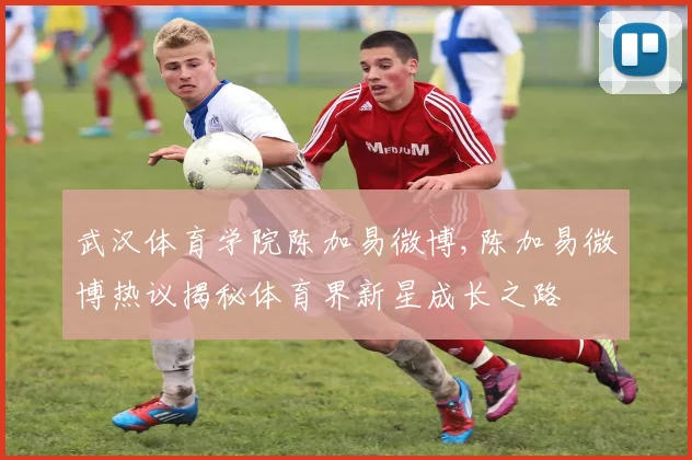 武汉体育学院陈加易微博,陈加易微博热议揭秘体育界新星成长之路