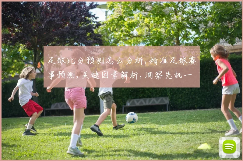 足球比分预测怎么分析,精准足球赛事预测,关键因素解析,洞察先机一箭双雕