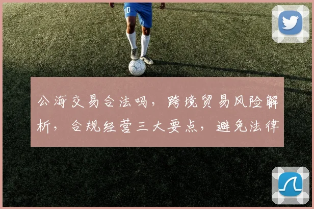 公海交易合法吗，跨境贸易风险解析，合规经营三大要点，避免法律风险，确保交易安全。
