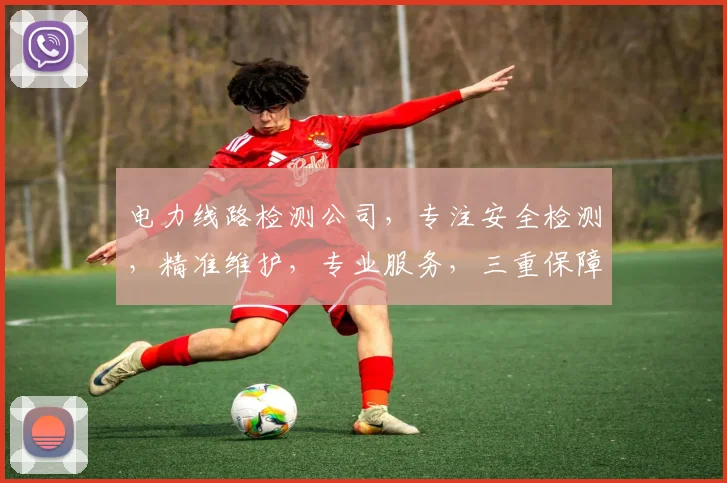 电力线路检测公司，专注安全检测，精准维护，专业服务，三重保障，值得信赖。
